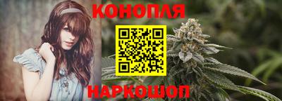 spice Тара