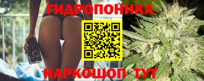 шишки Бузулук