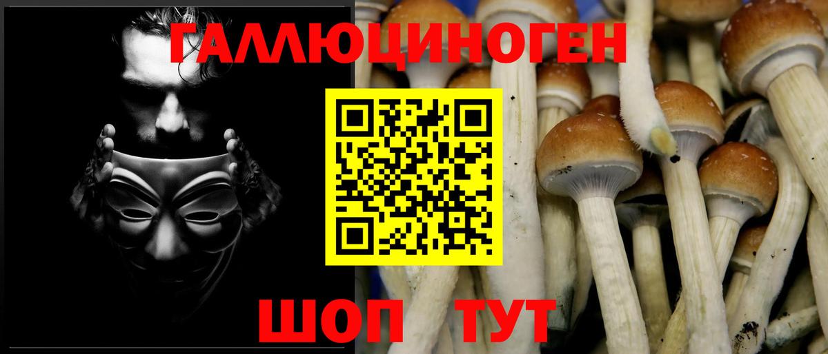 Галлюциногенные грибы GOLDEN TEACHER Новоалтайск