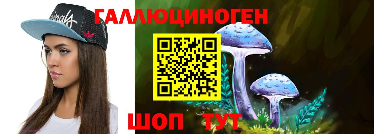Галлюциногенные грибы MAGIC MUSHROOMS  Вход с VPN  Новоалтайск 